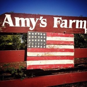 Amy's Pumpkin Patch @ Ontario | California | United States